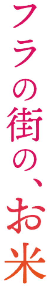 フラの街の、お米