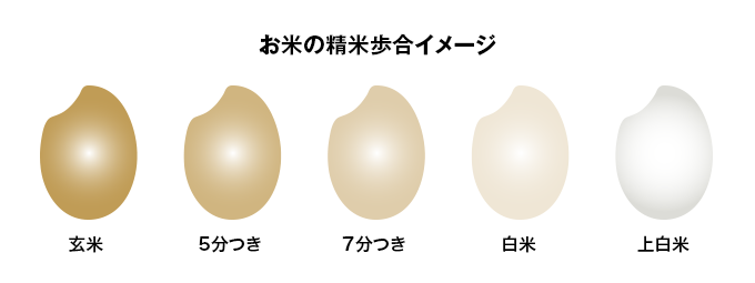 お米の精米歩合イメージ
