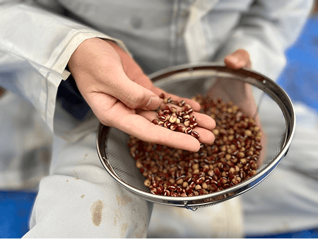 地元農業高等学校との連携の様子①