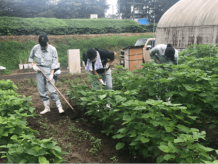 地元農業高等学校との連携の様子②