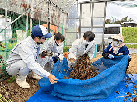 地元農業高等学校との連携の様子③