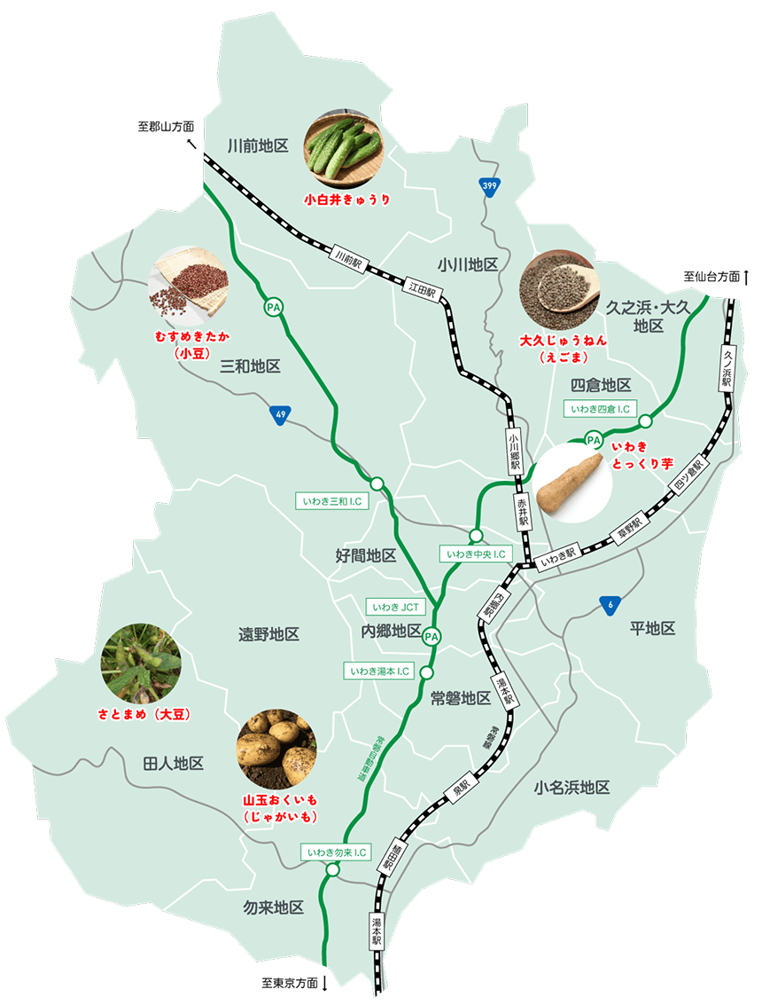 小白井きゅうり