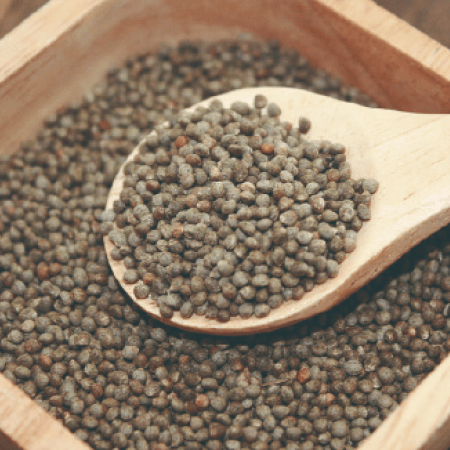 大久じゅうねん