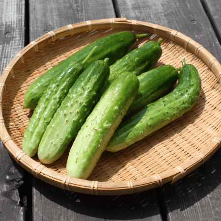 小白井(おじろい)きゅうり